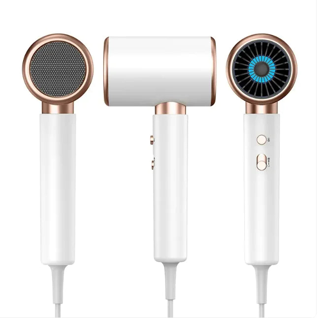 High-Speed Anion Electric Hair Dryer for Home Use